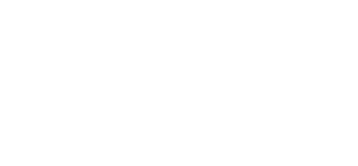 Flury & Partner